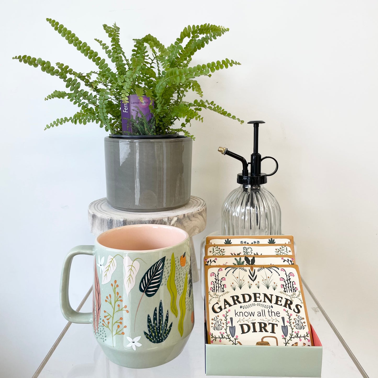 The Plant Enthusiast