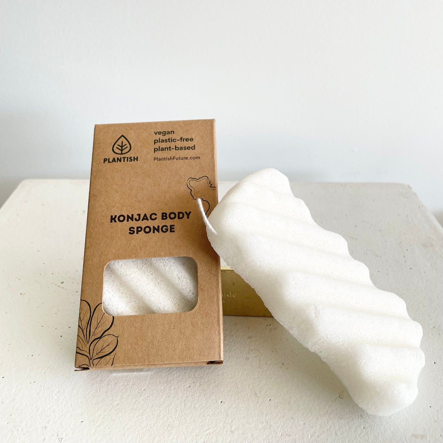 Konjac body sponge