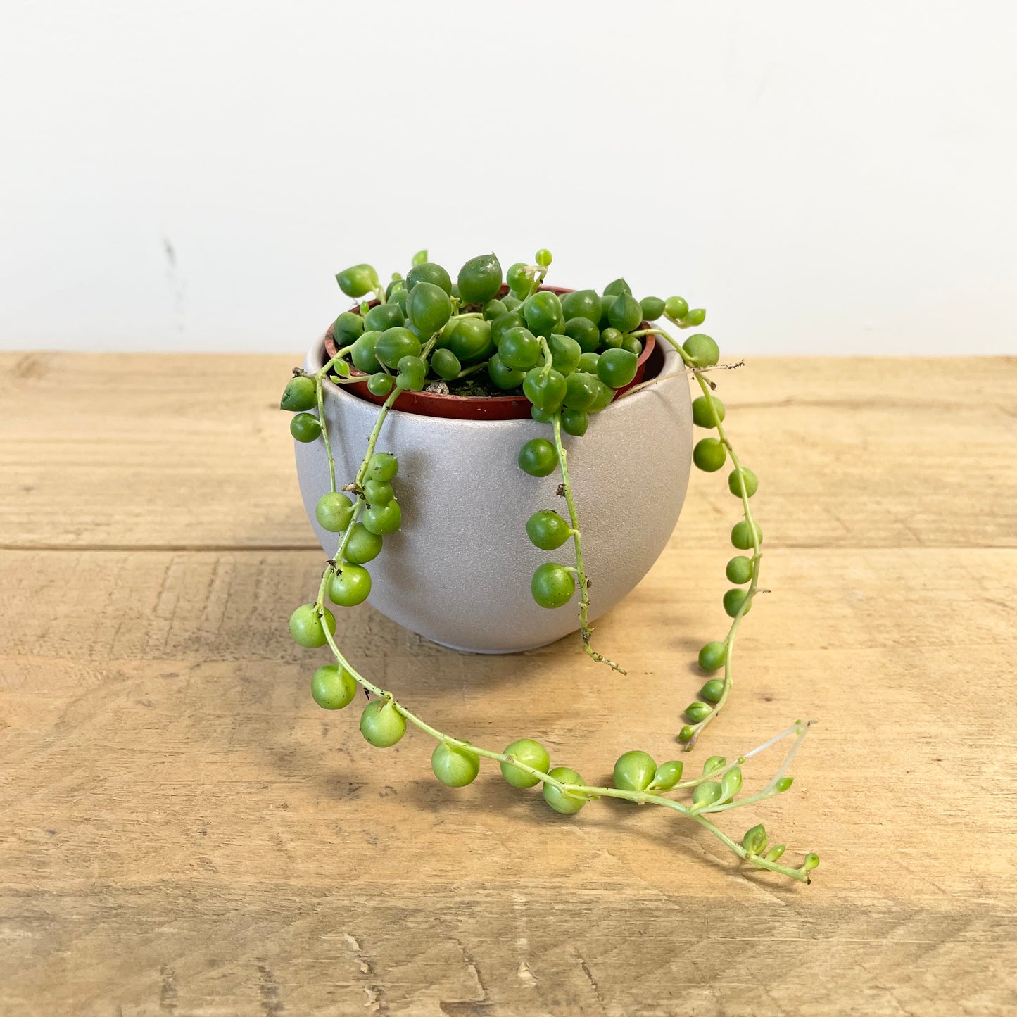 String of Pearls