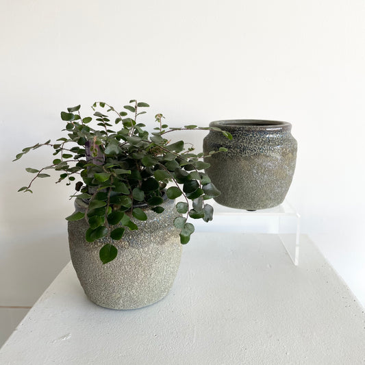 Highland Pot